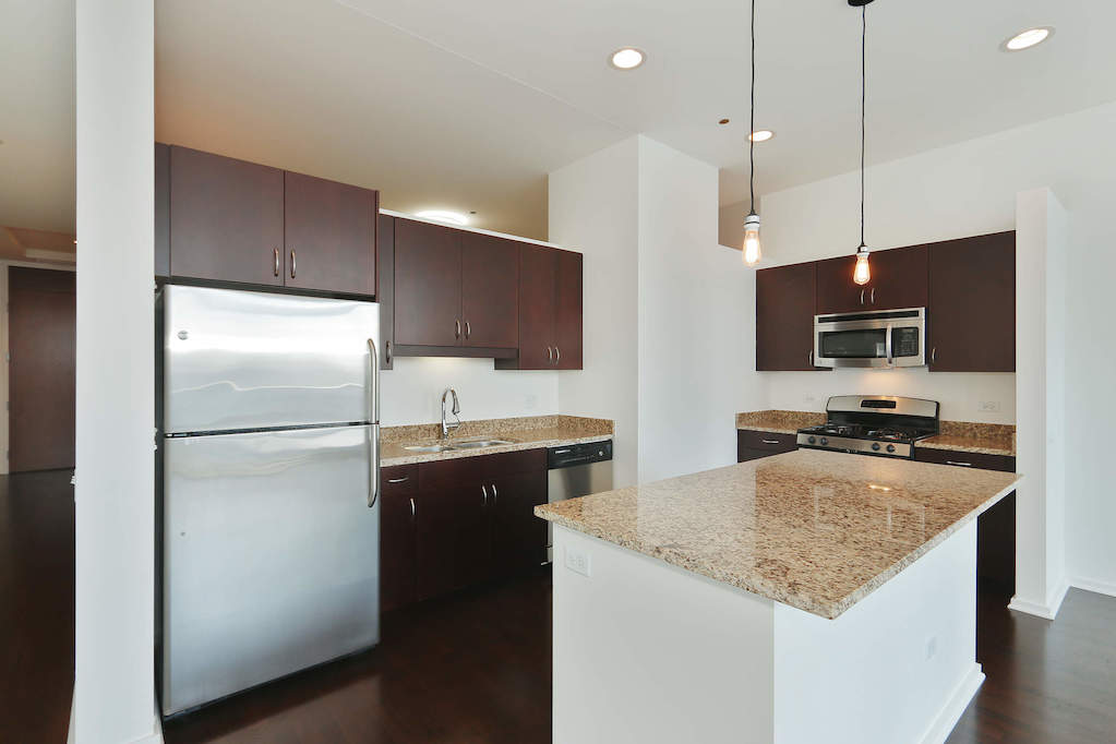 65 E Monroe Street #4607 Chicago, Illinois 60603 - Kitchen