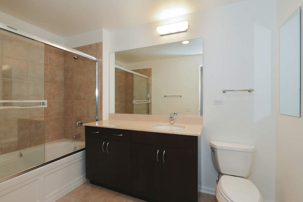 65 E Monroe Street #4607 Chicago, Illinois 60603 - Bathroom