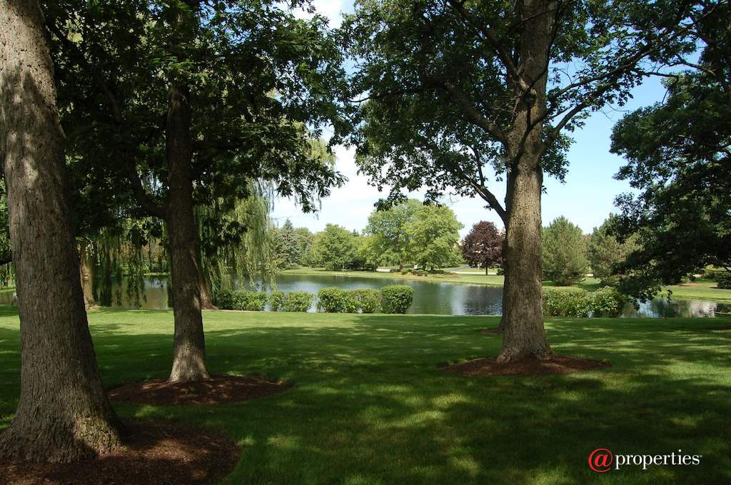 1740 Lakeview Terrace Libertyville, Illinois 60048 - Park like views from the Master Suite