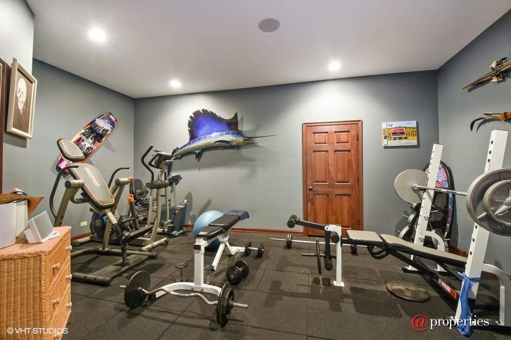 284 Fox Harbor Drive Trout Valley, Illinois 60013 - Fitness Room