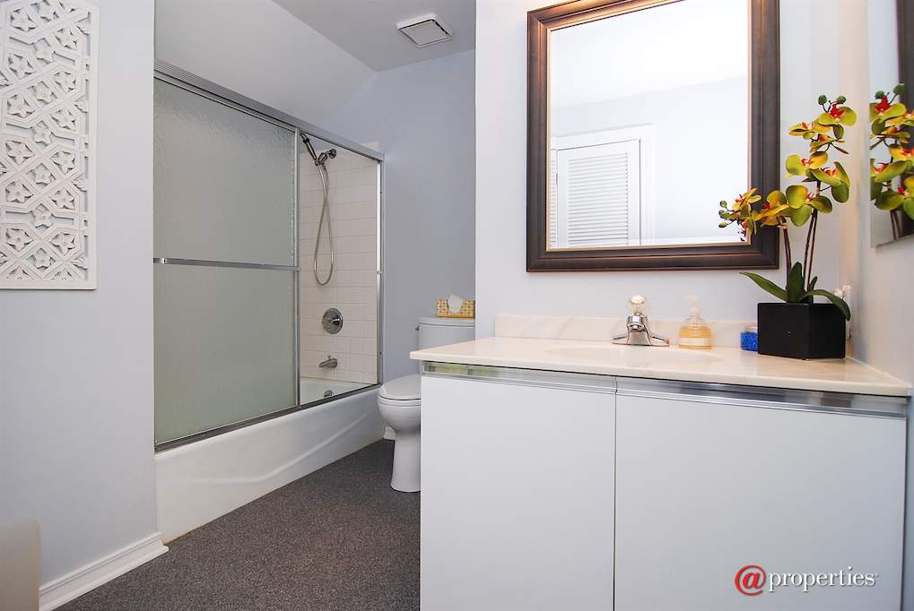 544 Keystone Avenue River Forest, Illinois 60305 - Bathroom