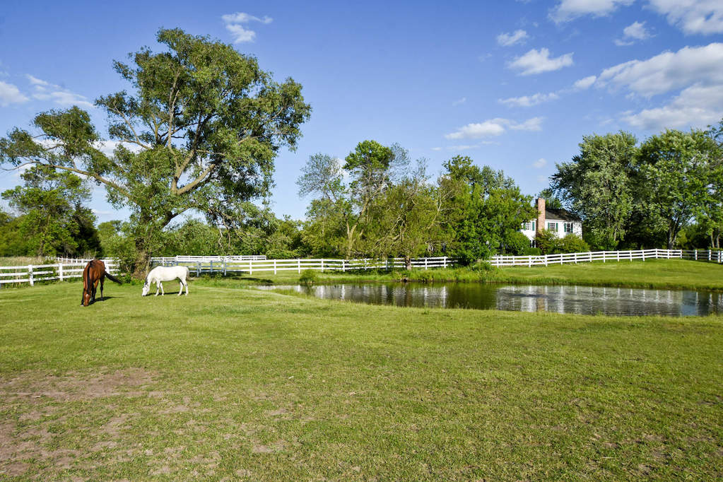17 Oakdene East Barrington Hills, Illinois 60010 - West Pasture & Pond