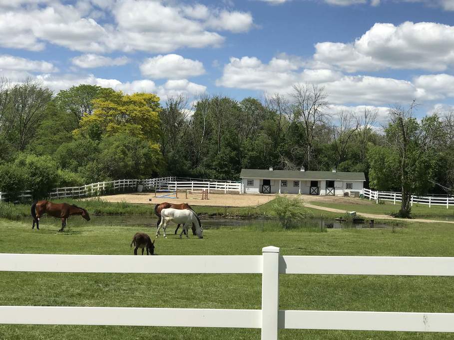 17 Oakdene East Barrington Hills, Illinois 60010 - Barn, Dressage & West Pasture