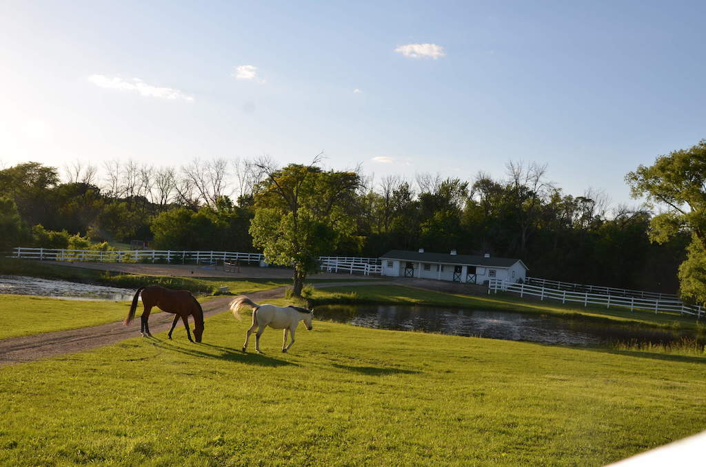 17 Oakdene East Barrington Hills, Illinois 60010 - Horses at Pond