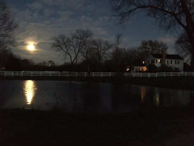 17 Oakdene East Barrington Hills, Illinois 60010 - House at Night