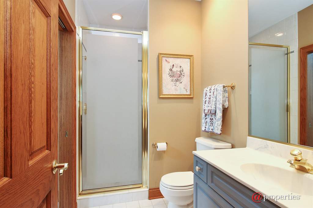 28532 N Sky Crest Drive Ivanhoe, Illinois 60060 - 5th Bath - Lower Level