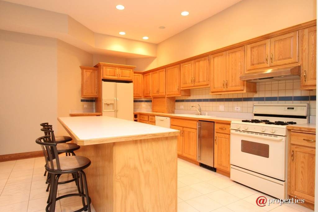 28532 N Sky Crest Drive Ivanhoe, Illinois 60060 - Lower Level Kitchen 3