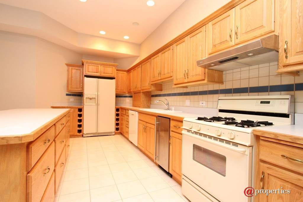 28532 N Sky Crest Drive Ivanhoe, Illinois 60060 - Lower Level Kitchen 2