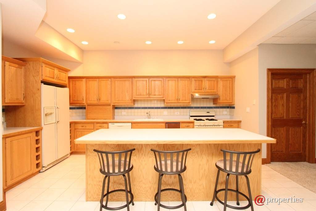 28532 N Sky Crest Drive Ivanhoe, Illinois 60060 - Lower Level Kitchen