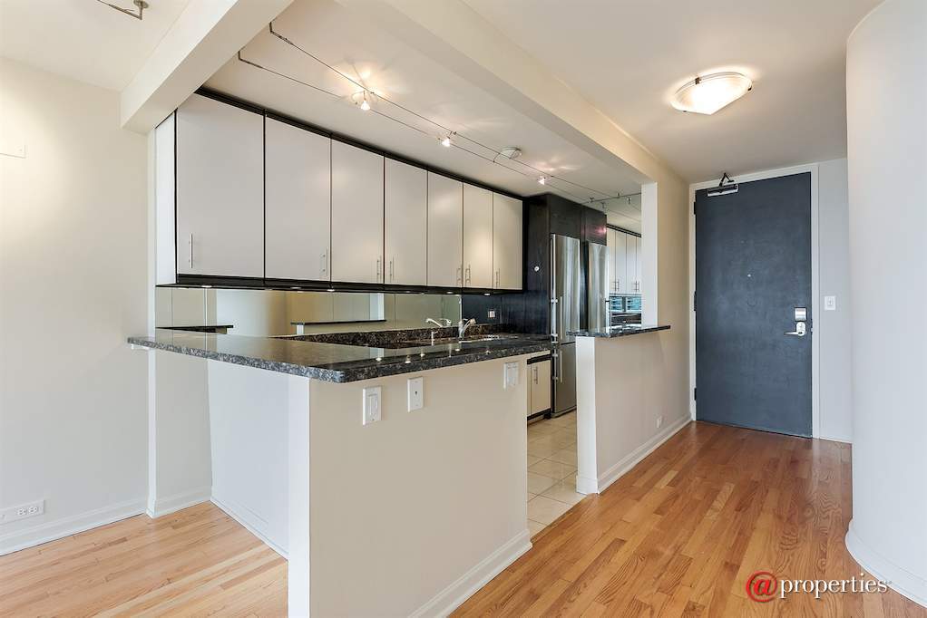 505 N Lake Shore Drive #1417 Chicago, Illinois 60611 - Kitchen