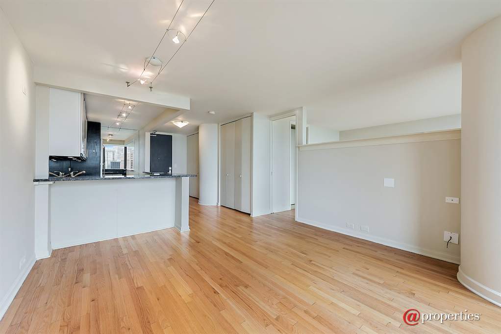 505 N Lake Shore Drive #1417 Chicago, Illinois 60611 - Kitchen / Living Room