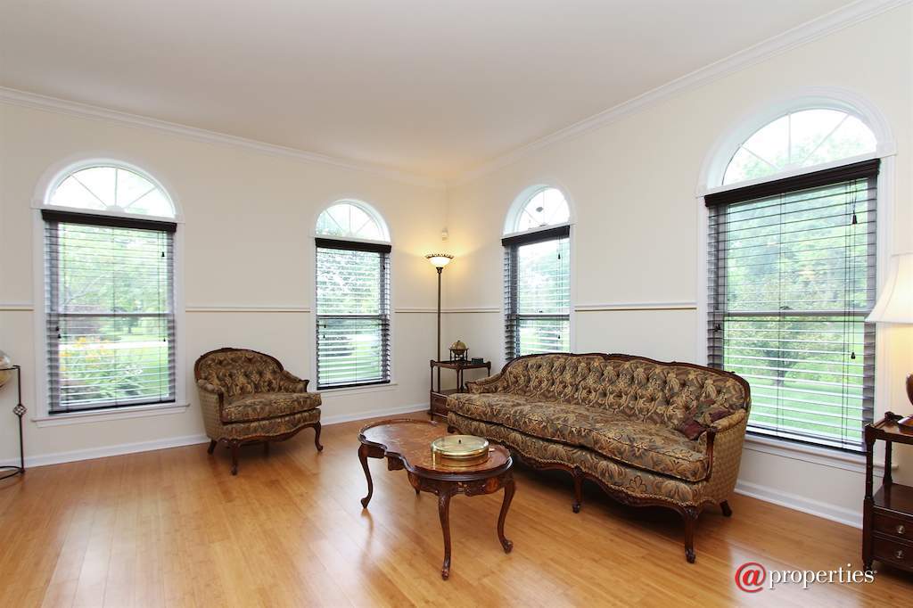 22056 N Old Farm Road Deer Park, Illinois 60010 - Living Room