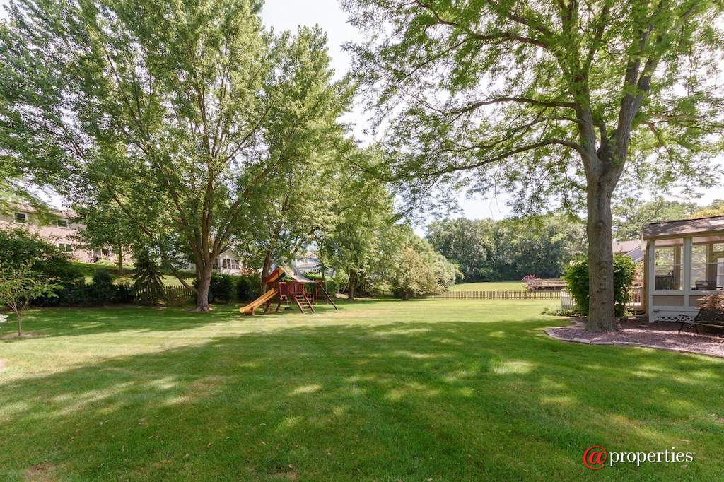 22056 N Old Farm Road Deer Park, Illinois 60010 - Back Yard
