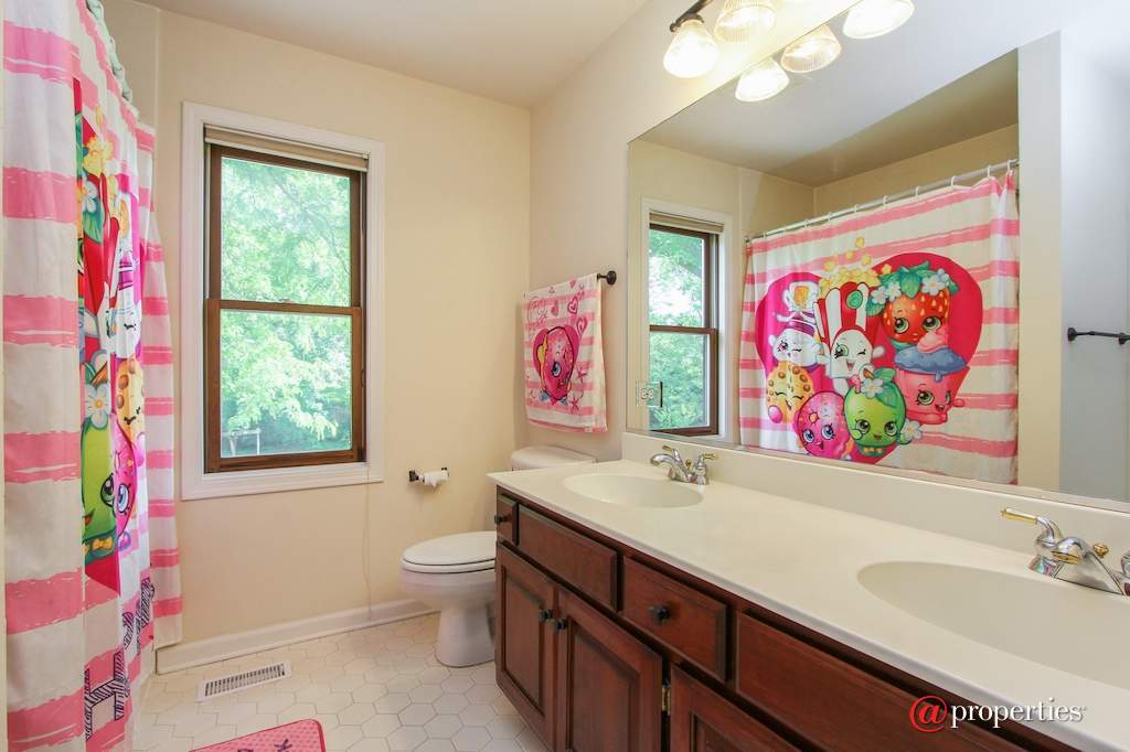 22056 N Old Farm Road Deer Park, Illinois 60010 - 2nd Bathroom
