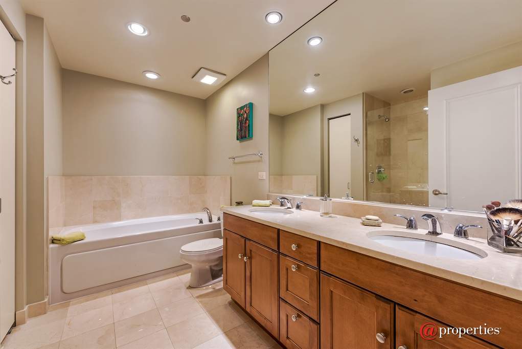 310 S Michigan Avenue #703 Chicago, Illinois 60604 - Master Bathroom