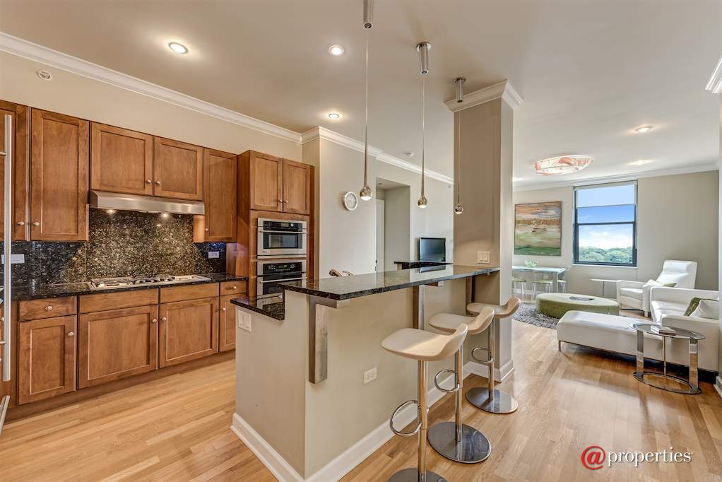 310 S Michigan Avenue #703 Chicago, Illinois 60604 - Kitchen