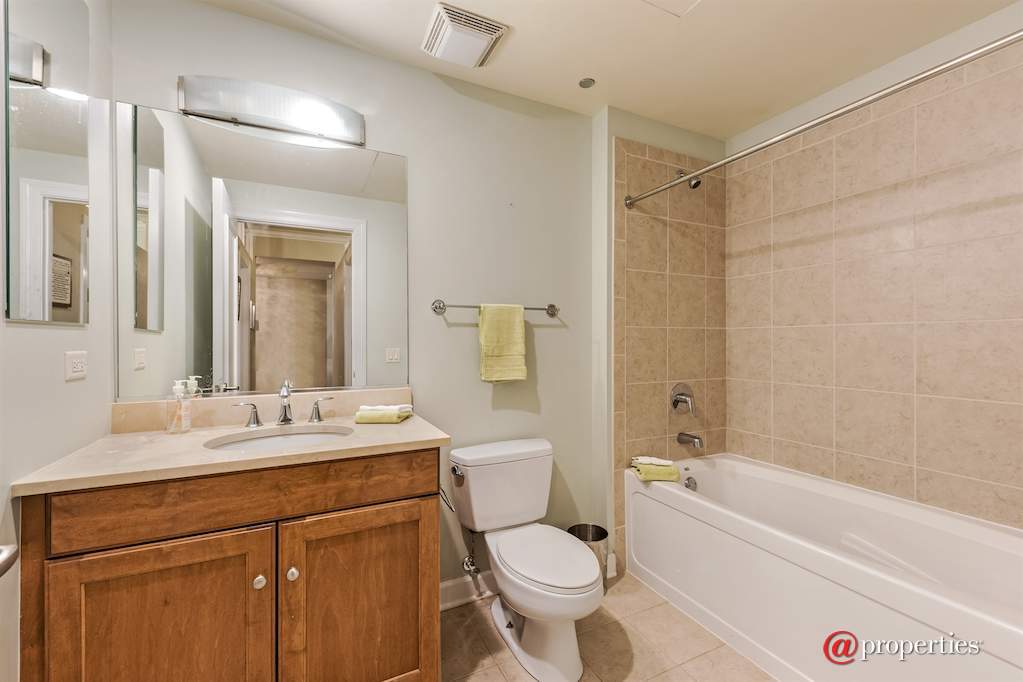 310 S Michigan Avenue #703 Chicago, Illinois 60604 - Bathroom