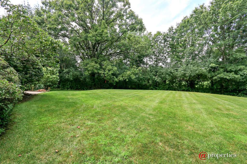 4662 Celano Drive Libertyville, Illinois 60048 - Back Yard