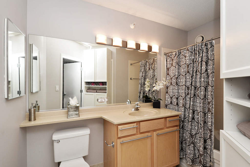 222 N Columbus Drive #307 Chicago, Illinois 60601 - Bathroom
