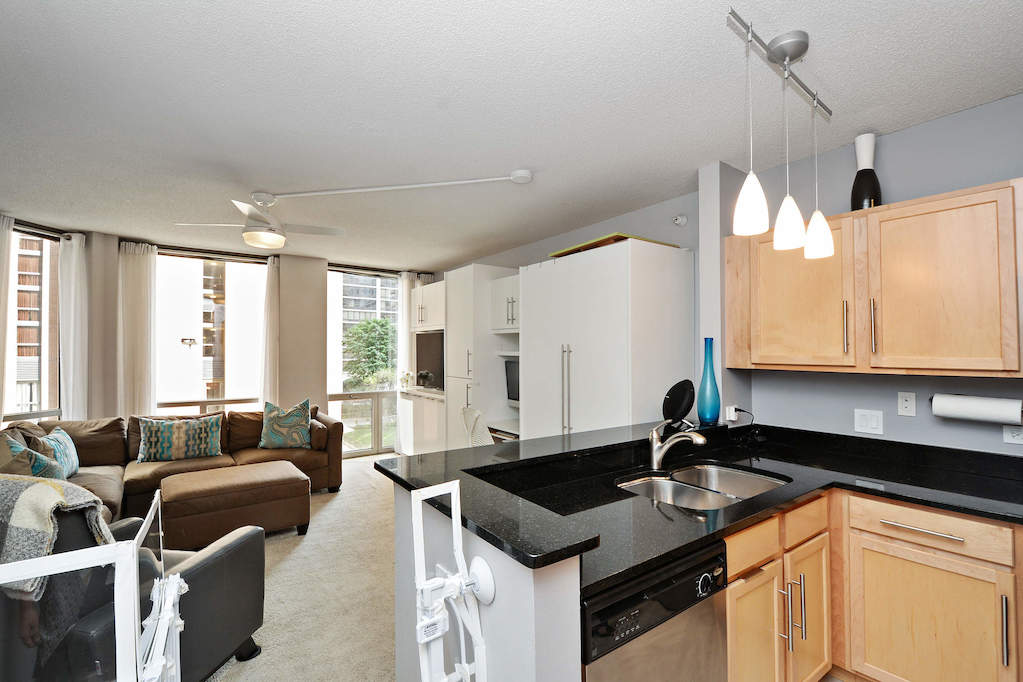 222 N Columbus Drive #307 Chicago, Illinois 60601 - Kitchen / Living Room