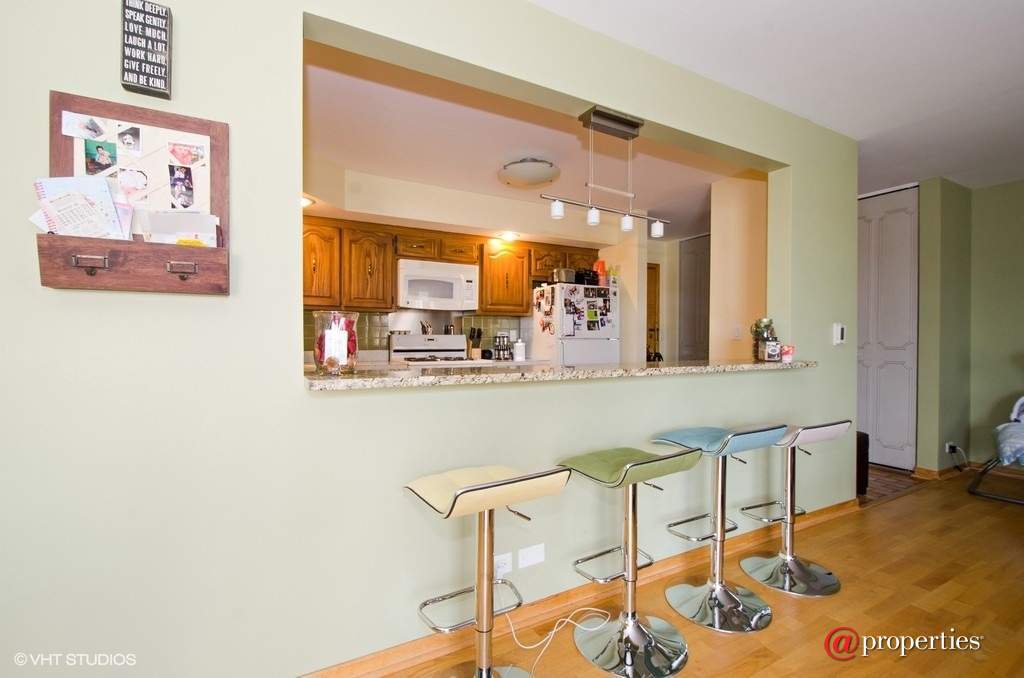 7229 W Higgins Avenue #302 Chicago, Illinois 60656 - Kitchen
