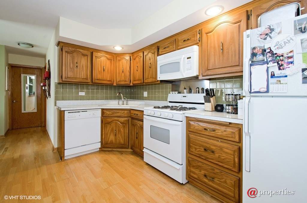 7229 W Higgins Avenue #302 Chicago, Illinois 60656 - Kitchen