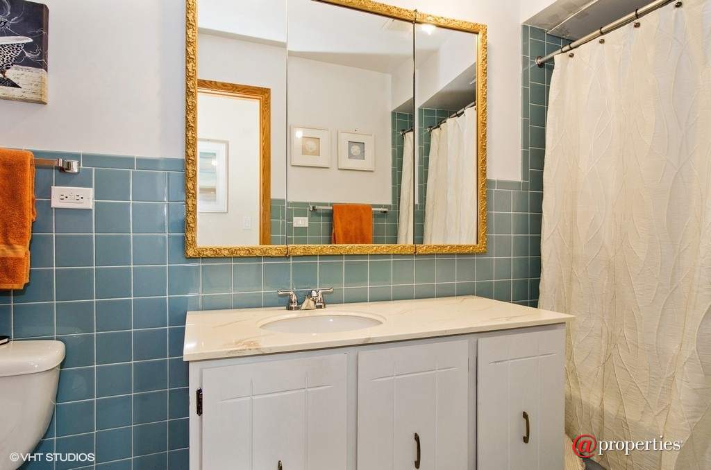 7229 W Higgins Avenue #302 Chicago, Illinois 60656 - Bathroom