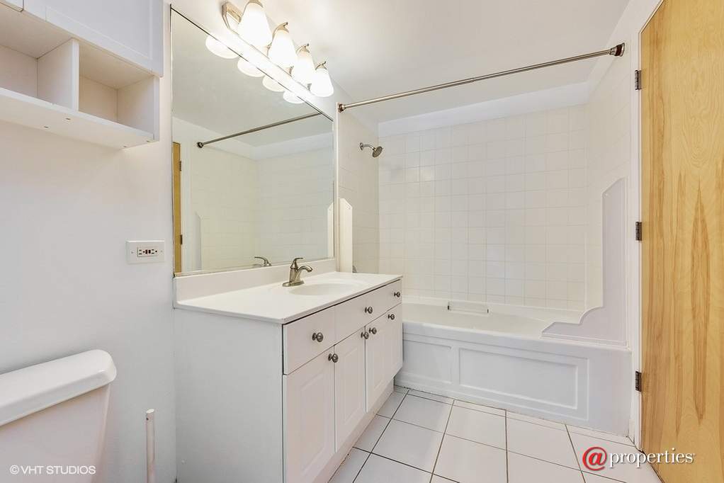 1845 S Michigan Avenue #803 Chicago, Illinois 60616 - Bathroom