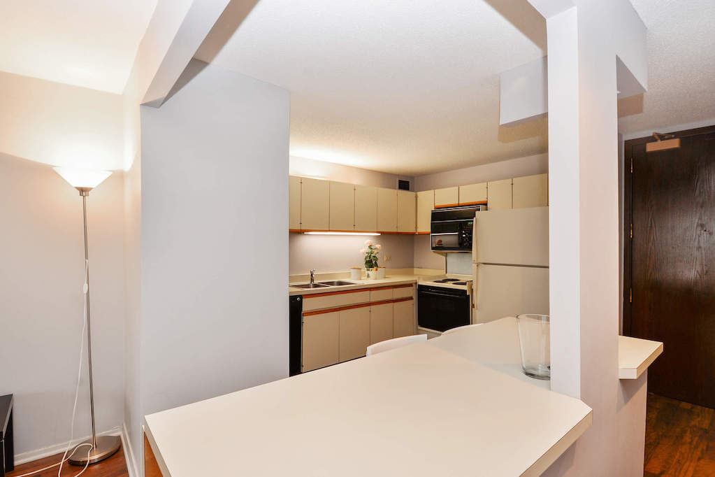 360 E Randolph Street #1606 Chicago, Illinois 60601 - Kitchen