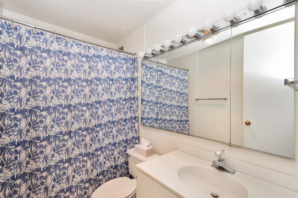 360 E Randolph Street #1606 Chicago, Illinois 60601 - Bathroom