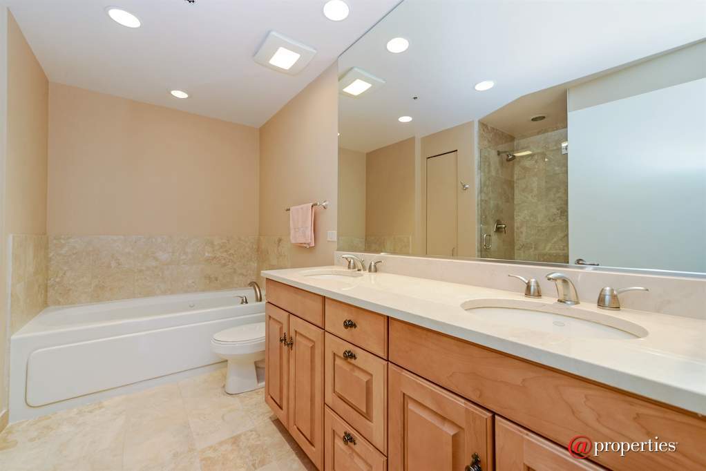 310 S Michigan Avenue #1103 Chicago, Illinois 60604 - Master Bathroom