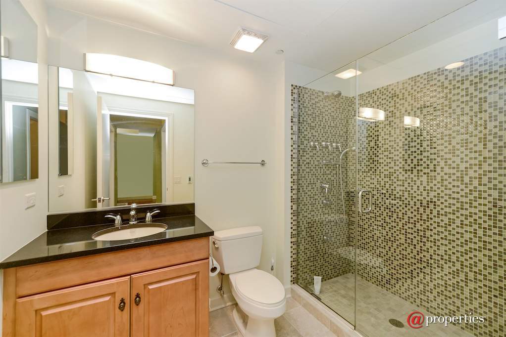310 S Michigan Avenue #1103 Chicago, Illinois 60604 - Closet