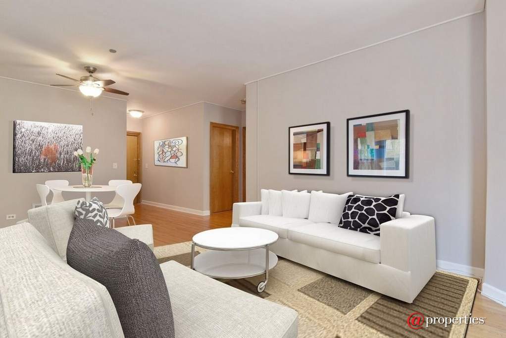 550 W Surf Street #215 Chicago, Illinois 60657 - Image 3