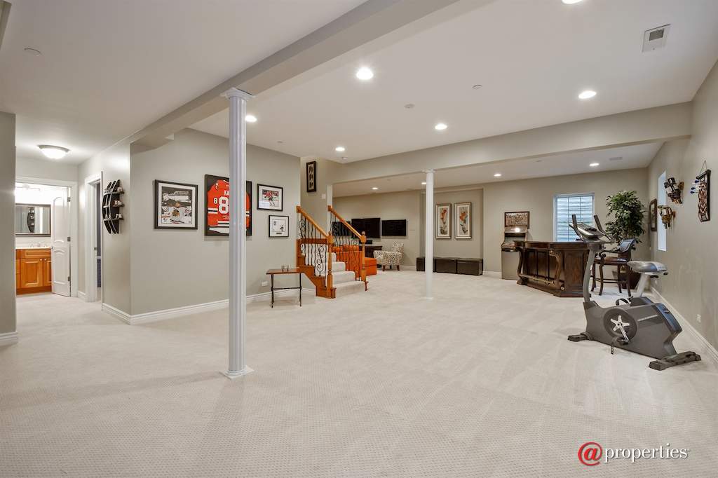 763 Division Street Barrington, Illinois 60010 - Basement