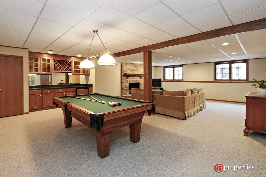 29920 Tanya Trail Libertyville, Illinois 60048 - Basement