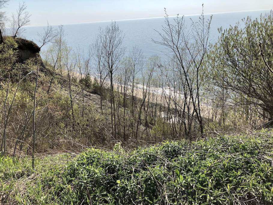 3300 M-63 Benton Harbor, Mi 49022 - Image 3