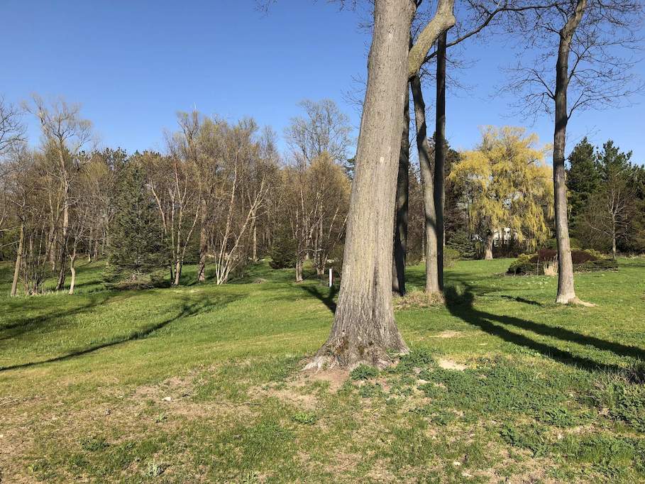 3300 M-63 Benton Harbor, Mi 49022 - Image 4
