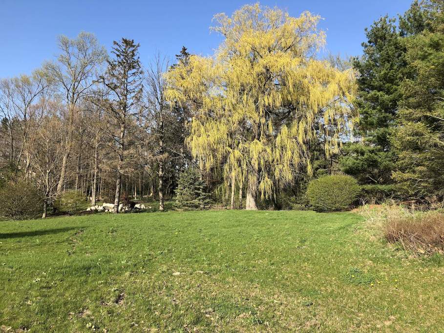 3300 M-63 Benton Harbor, Mi 49022 - Image 9
