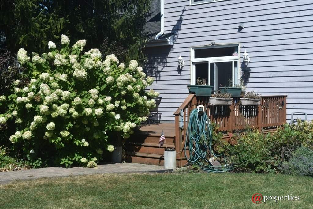 1905 E Euclid Avenue Mount Prospect, Illinois 60056 - Deck