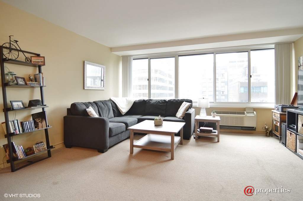 211 E Ohio Street #2101 Chicago, Illinois 60611 - Living Room