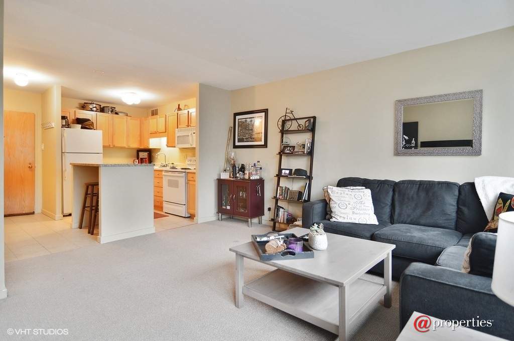 211 E Ohio Street #2101 Chicago, Illinois 60611 - Kitchen / Living Room