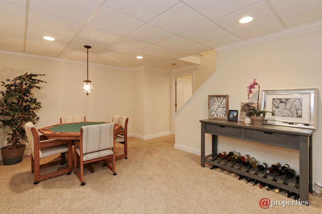 22283 W Mashie Court Ivanhoe, Illinois 60060 - Recreational Room