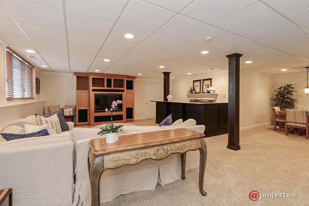 22283 W Mashie Court Ivanhoe, Illinois 60060 - Lower Level