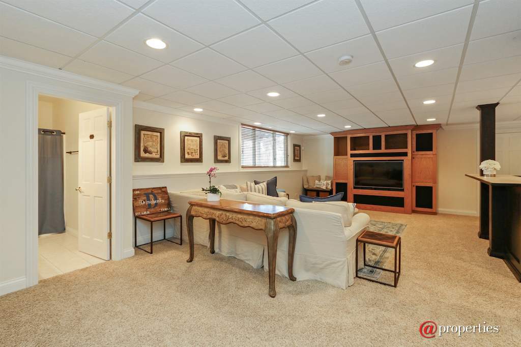 22283 W Mashie Court Ivanhoe, Illinois 60060 - Lower Level