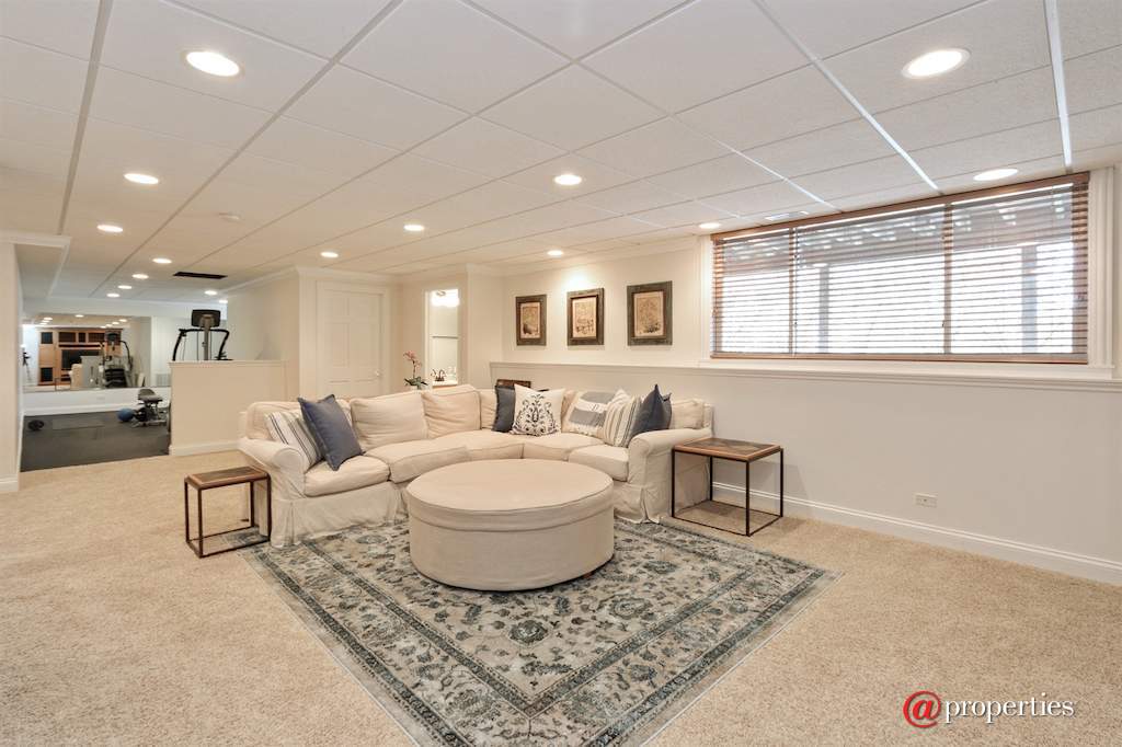 22283 W Mashie Court Ivanhoe, Illinois 60060 - Lower Level