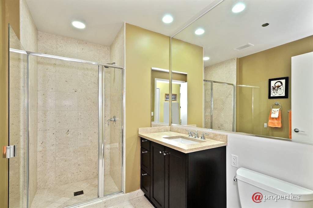 60 E Monroe Street #2907 Chicago, Illinois 60603 - Bathroom
