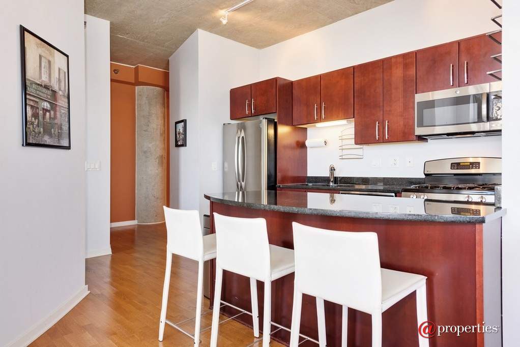 700 N Larrabee Street #1501 Chicago, Illinois 60654 - Image 7