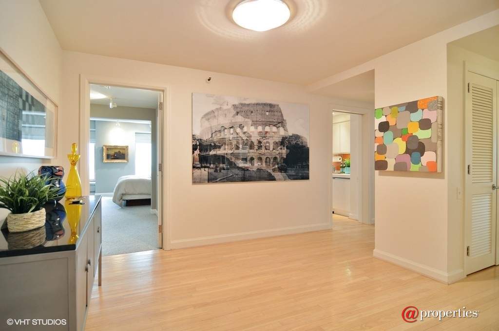 161 E Chicago Avenue #28F Chicago, Illinois 60611 - Foyer
