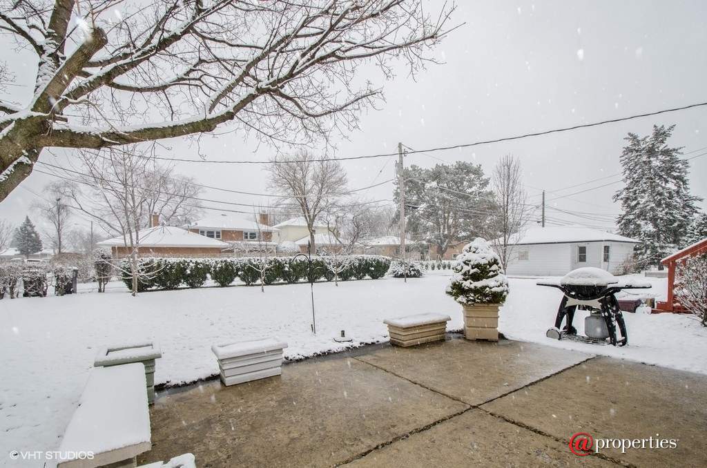 8455 Lockwood Avenue Skokie, Illinois 60077 - Back Yard