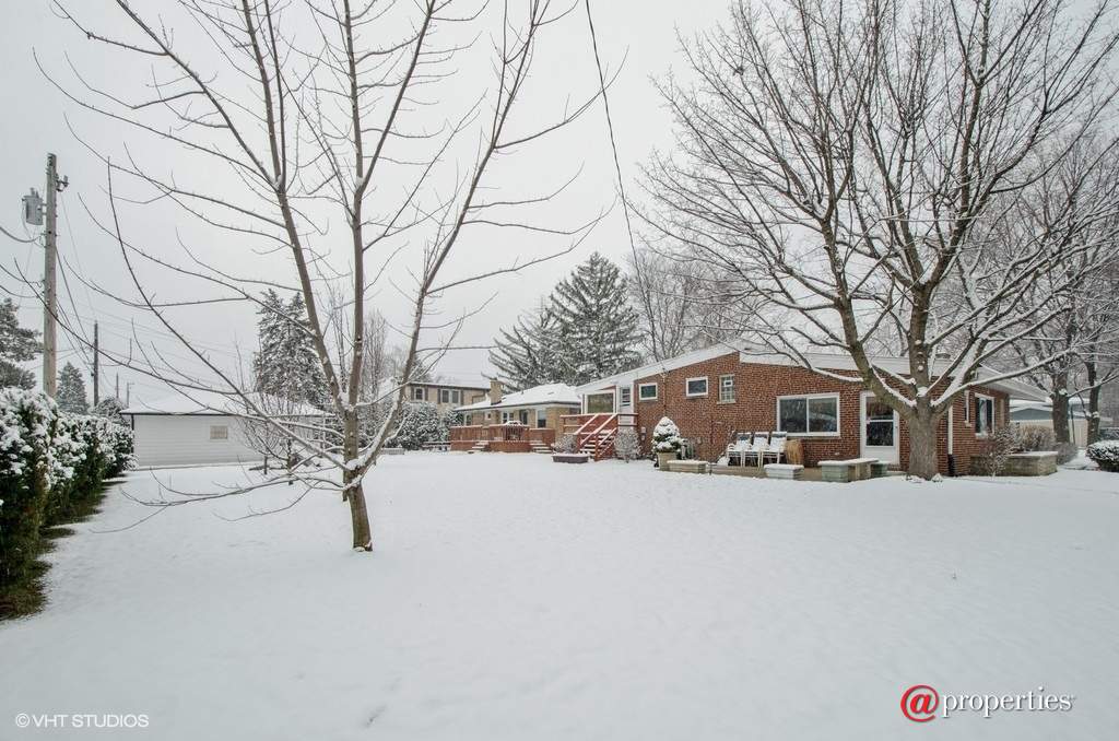 8455 Lockwood Avenue Skokie, Illinois 60077 - Back Yard